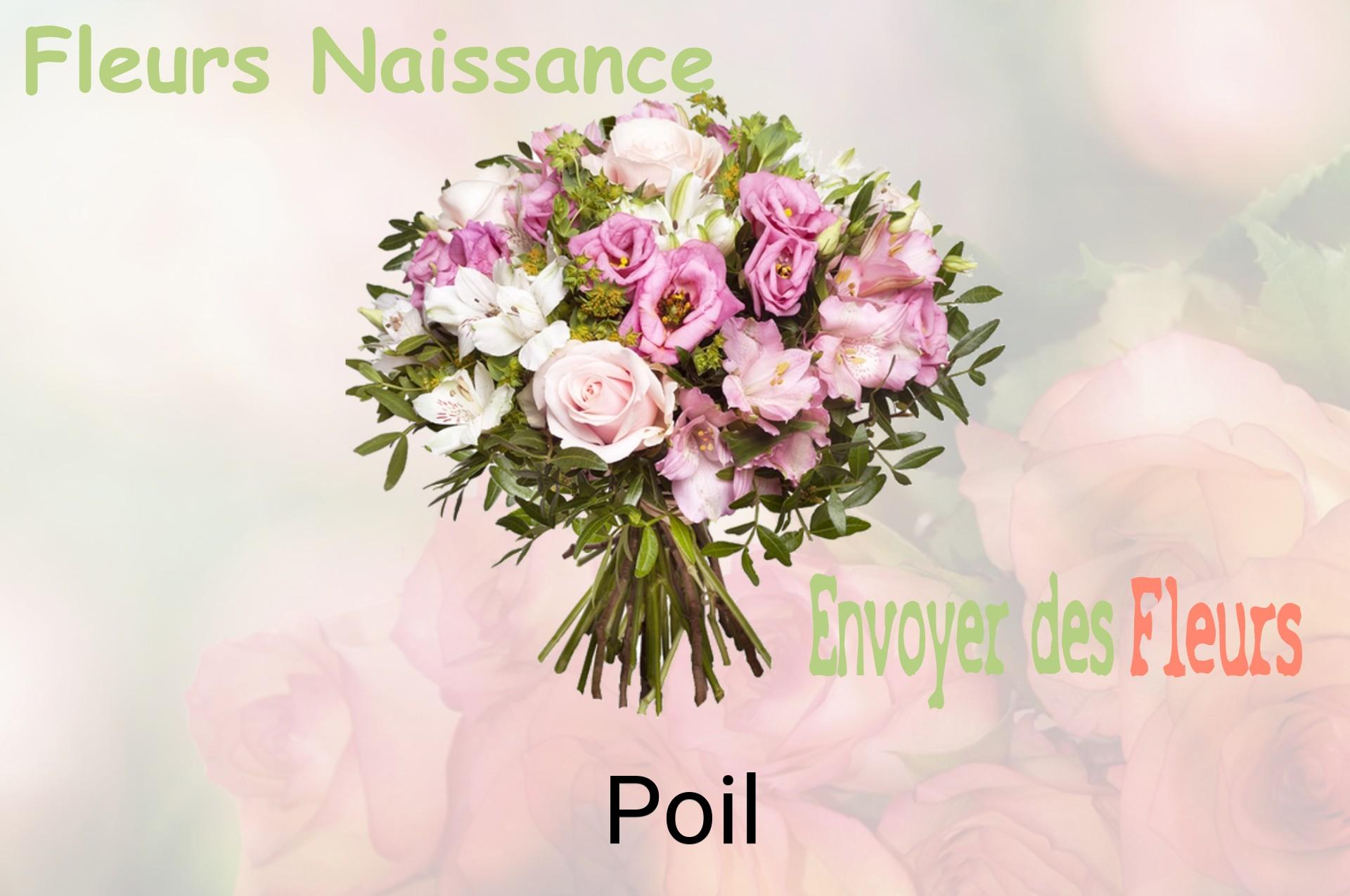Bouquet de fleurs de naissance livré à Poil